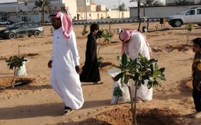 اقامت جمعية التنمية الاهلية ببقعاء الشرقيه مبادرة صيانة وتسميد أشجار ممشى بقعاء الشرقية